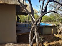 20181214_154247-1-scaled