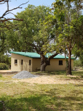 Thornybush - Senior Staff 1