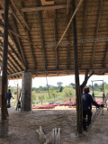 Thabamati Roof
