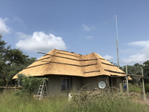 Thatch 2