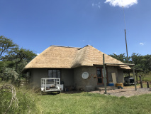 Thatch 3