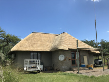 Thatch 4