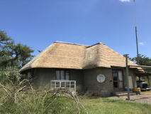 Thatch 5