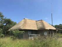 Thatch 6